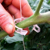 Hectarul - Set 100 buc Clipsuri  palisat rosii